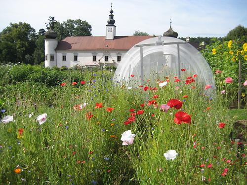 Arche Noah Heimatlexikon Kunst und Kultur im Austria Forum